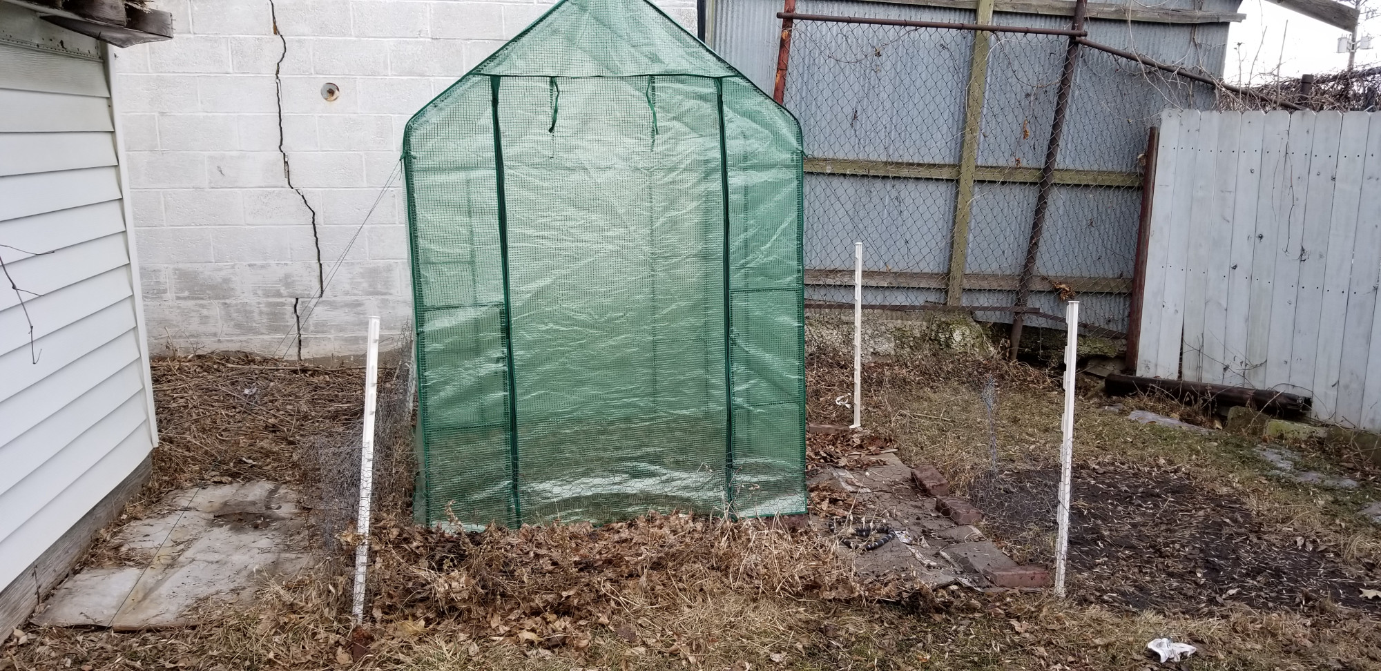 greenhouse in the garden