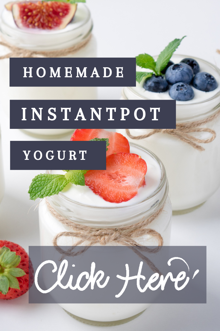 Home Made Yogurt in InstantPot Ultra The Mom Nurse Kara Johnson