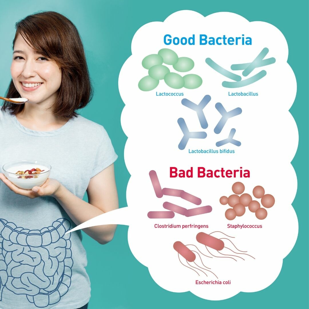 pictures of what good and bad bacteria look like