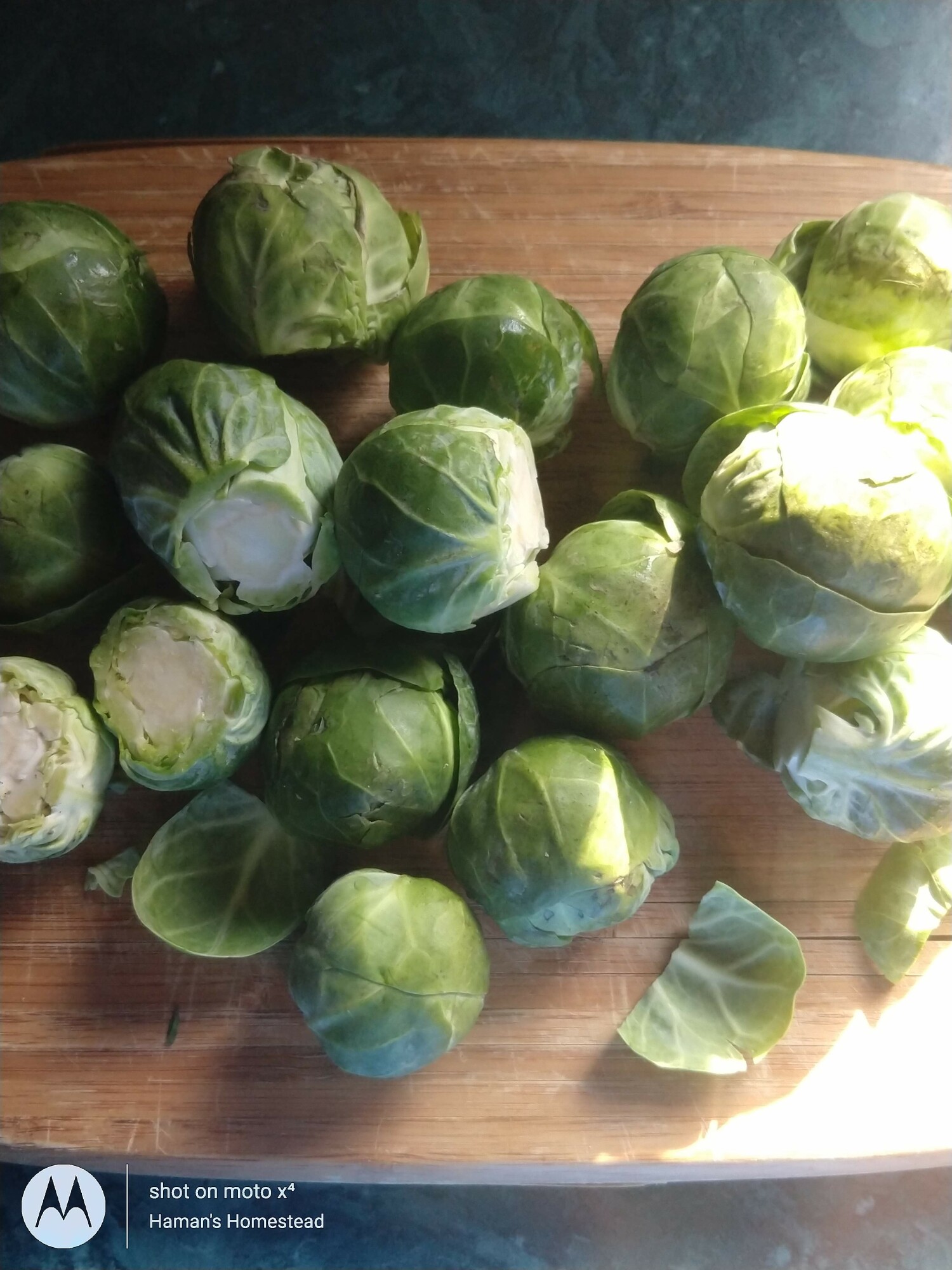 brussell sprouts with the end cut off