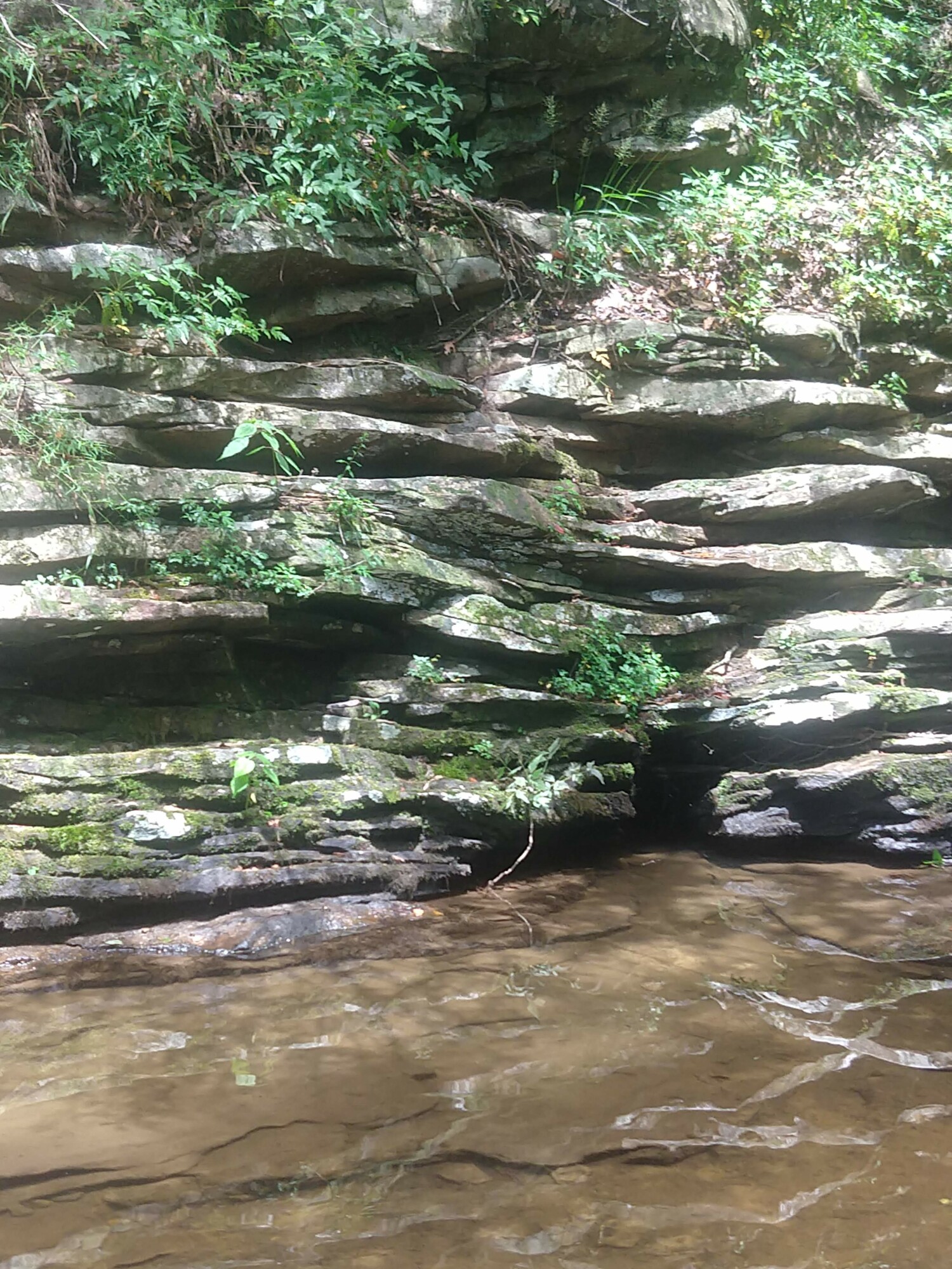 Creek At Falling Waters Falls