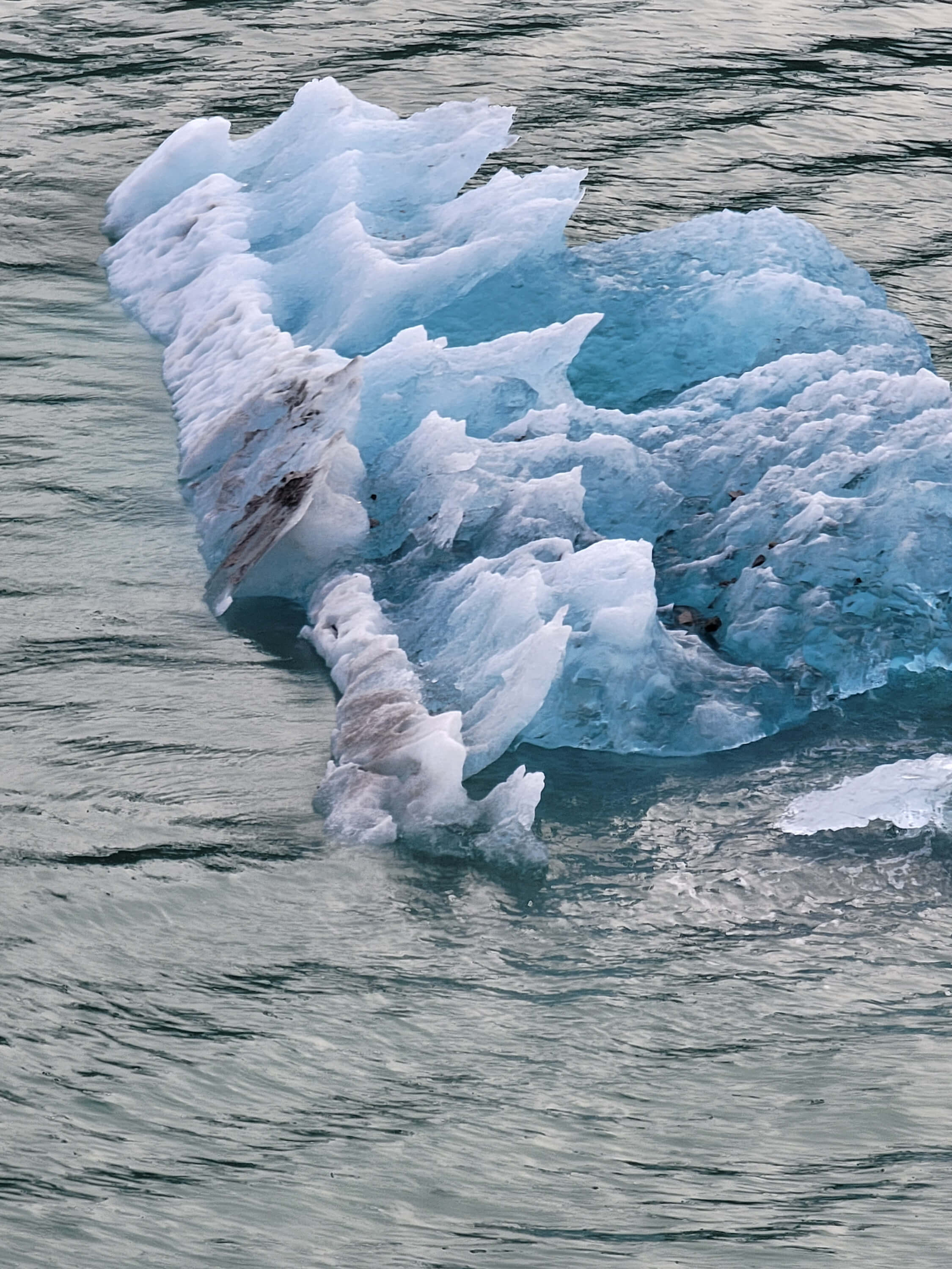 ice chunks in Stephens Passage