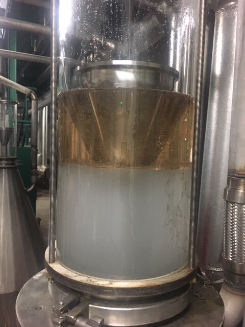 Idaho Blue Spruce being distilled