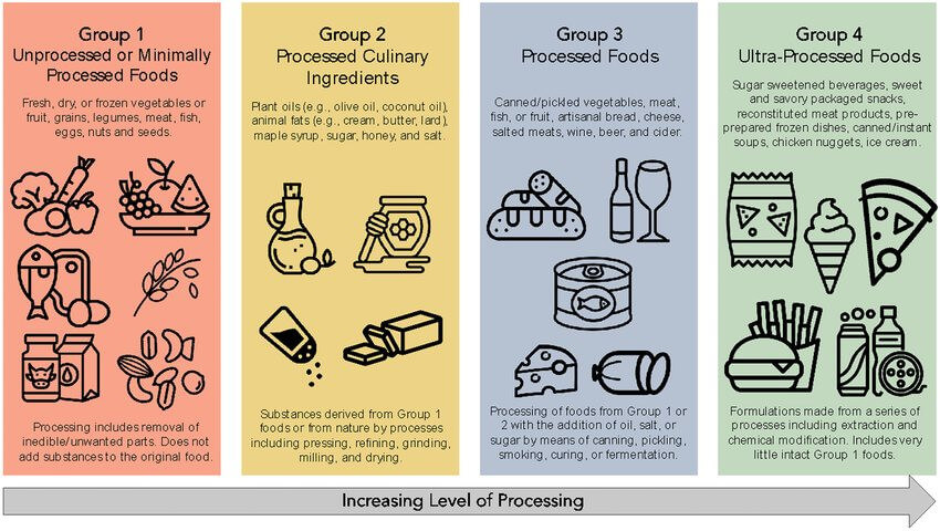 Nova Food Classification   65a6ccd9cd138 