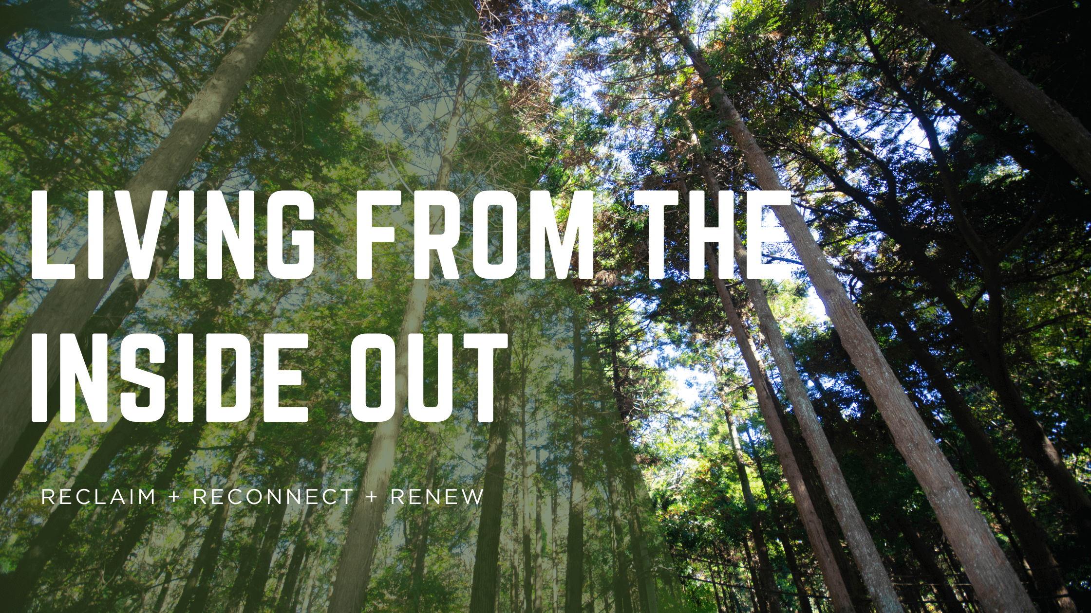 Transform Your World from Within: Embrace the Journey of Inner Change