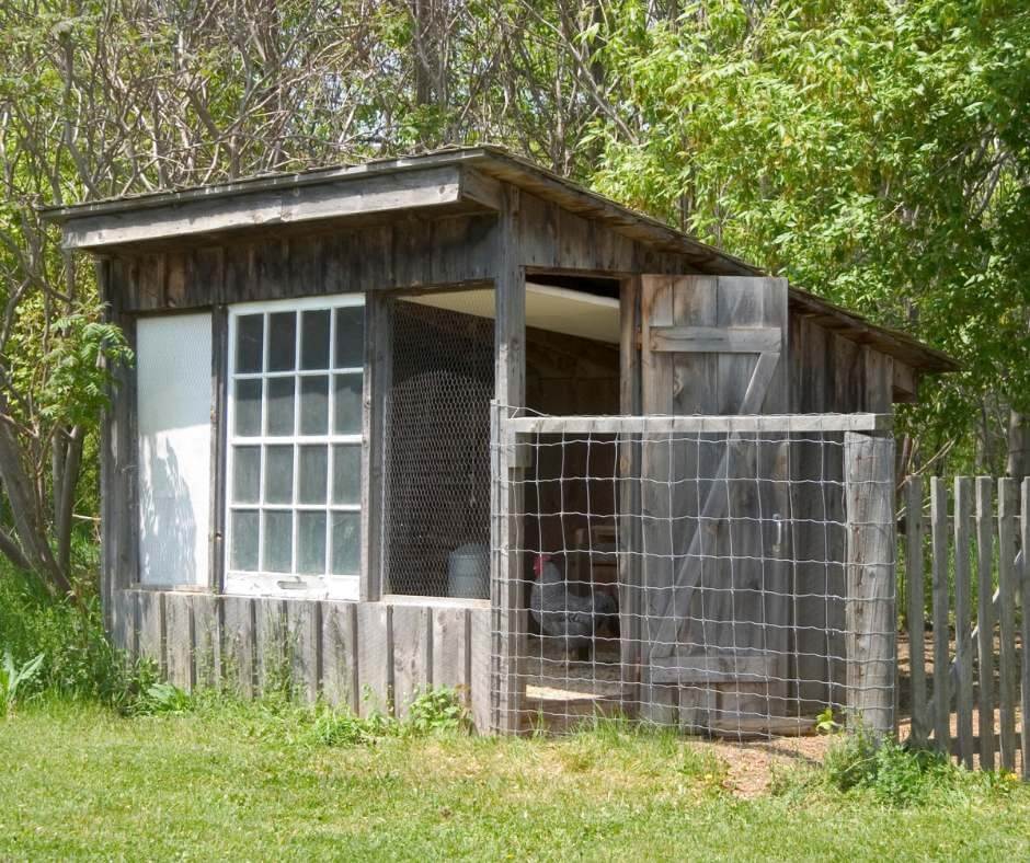 Budget-friendly coop ideas