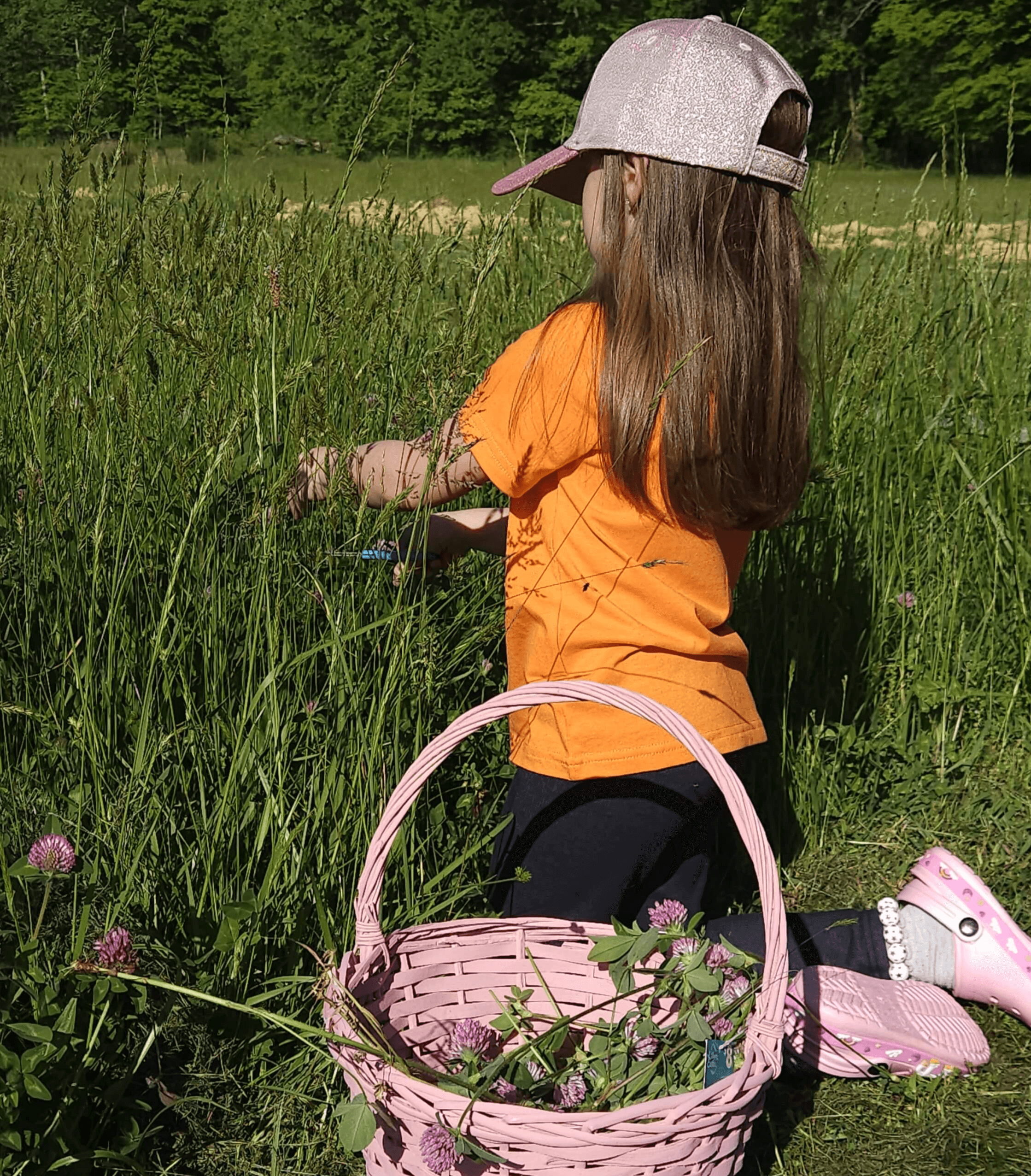Herbs, simple ingredients, and handmade apothecary items