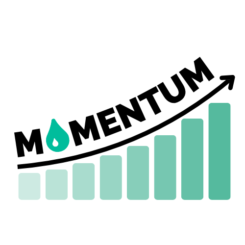 Momentum Workshop