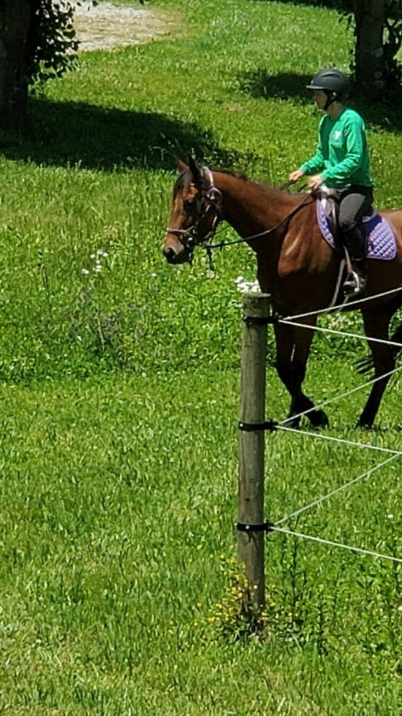 Calm rider or icons representing clarity, plan, confidence, and support