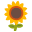 🌻