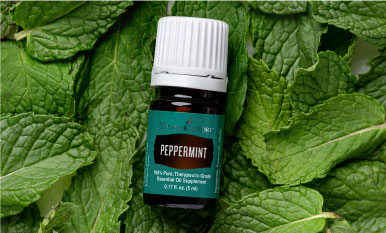 This image has an empty alt attribute; its file name is peppermint.jpg