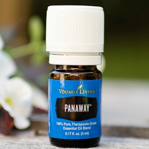 This image has an empty alt attribute; its file name is PanAway.jpg