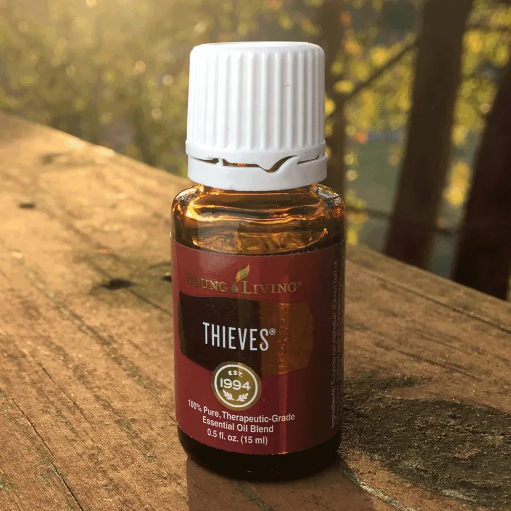 This image has an empty alt attribute; its file name is thieves.jpg