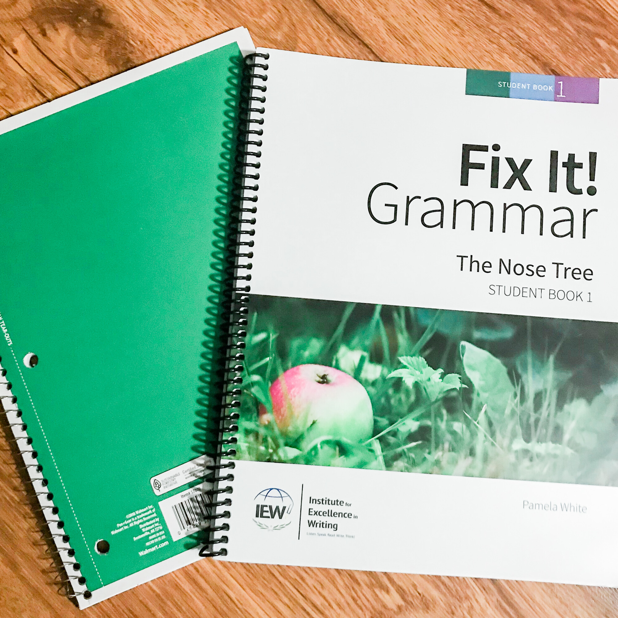 fourth grade curriculum from IEW Fix It! Grammar The Nose Tree