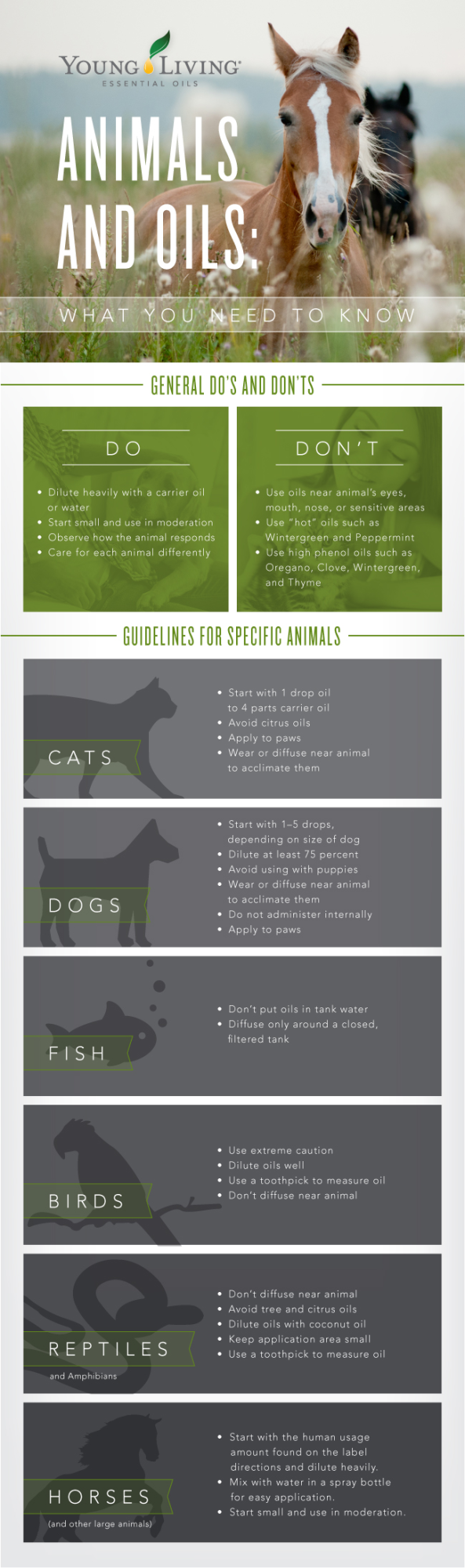 what essential oils are not safe to diffuse around dogs