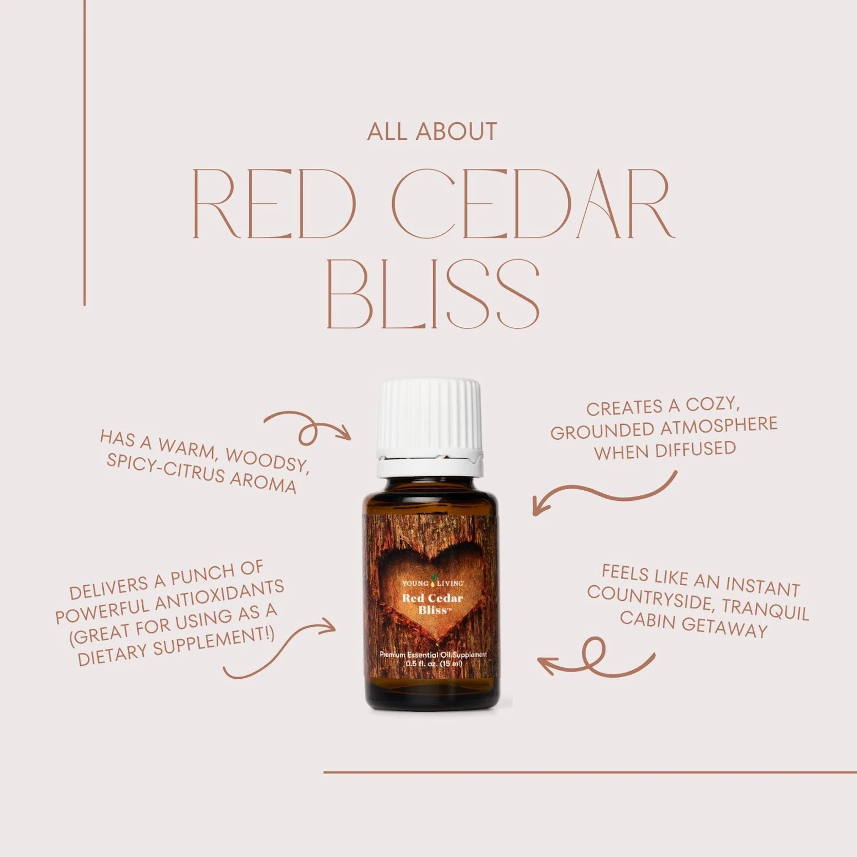 Blend Recipe: 2 drops Cinnamon Bark, 2 drops Clove, 2 drops Orange, 2 drops  Bay