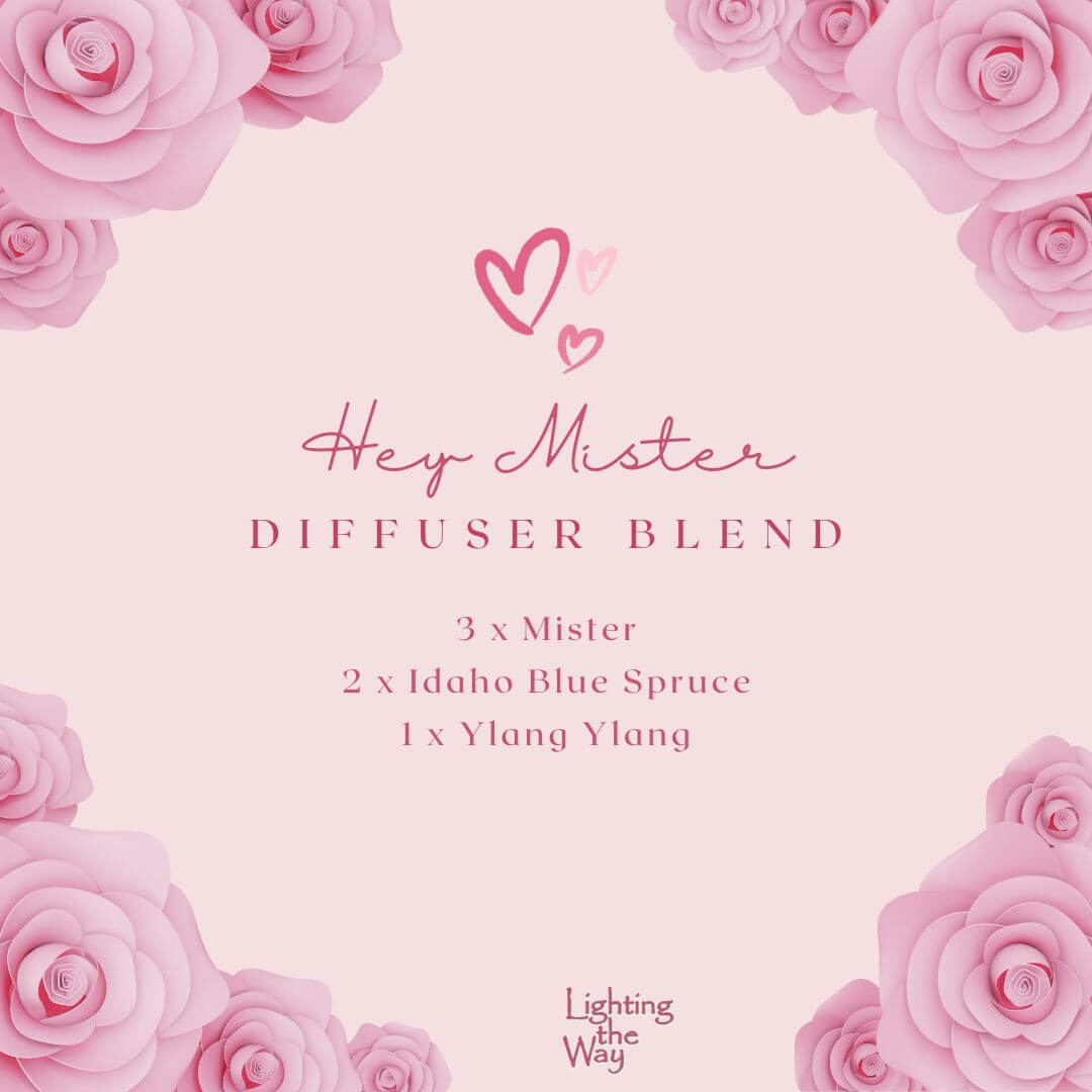 Hey Mister Diffuser Blend
