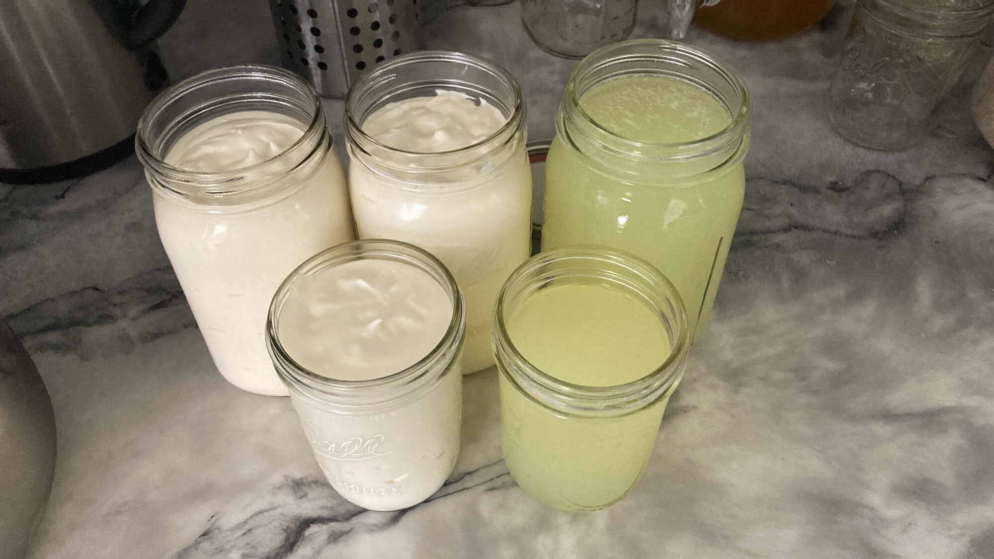 Homemade Yogurt in the Instant Pot | Sparrow Song