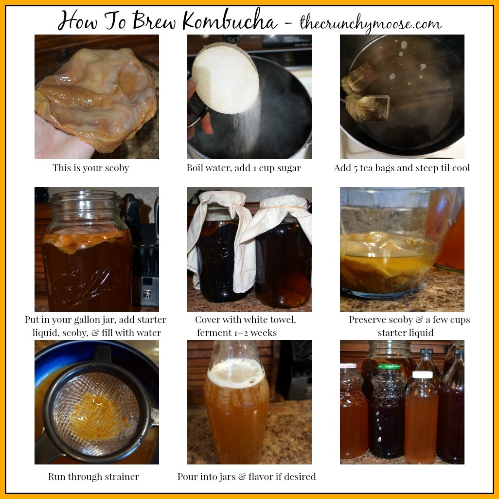 hot to make kombucha