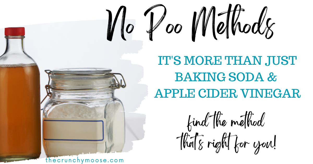 no poo methods other than apple cider vinegar and baking soda