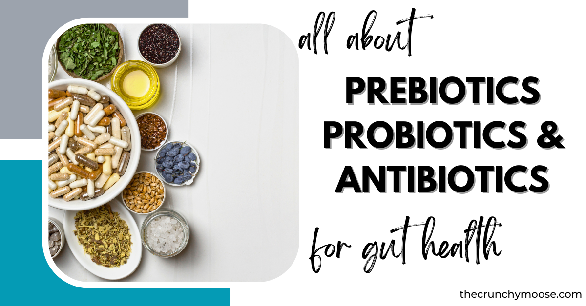 what are probiotics prebiotics antibiotics