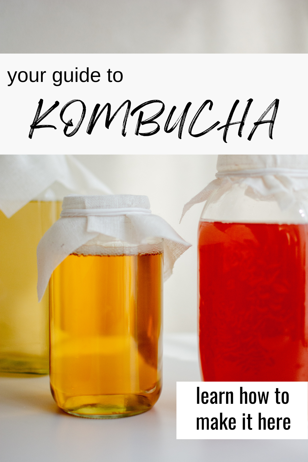 hot to make kombucha