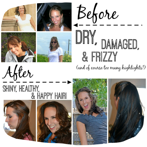 the no poo method natural hair care before and after pictures