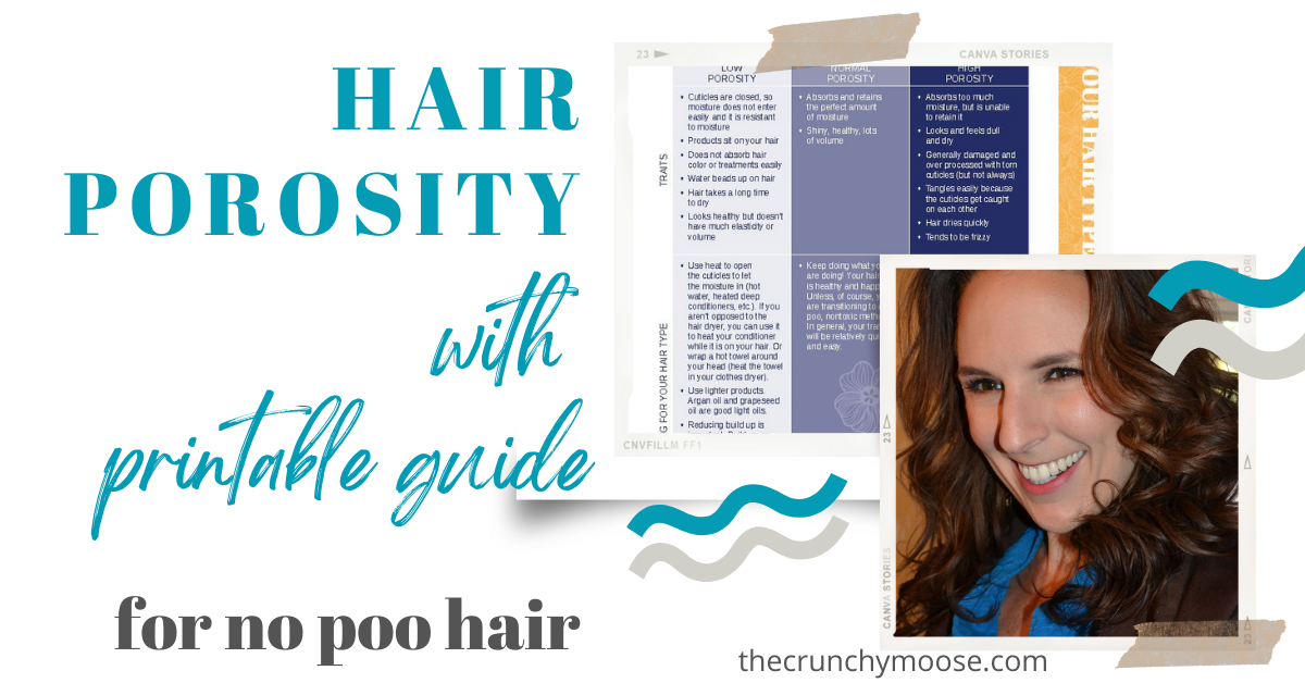 hair porosity guite