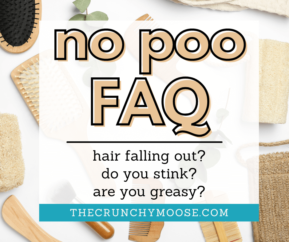 does no poo hair stink