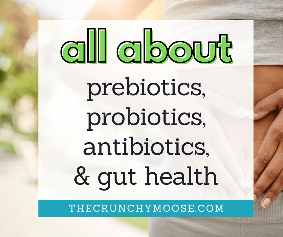 what are prebiotics probiotics antibiotics