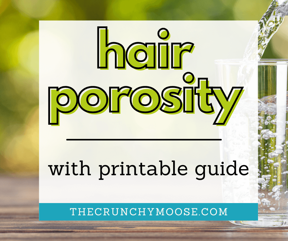 hair porosity tests for the no poo method