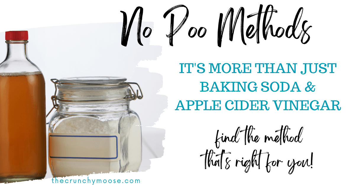 no poo methods beyond baking soda and apple cider vinegar