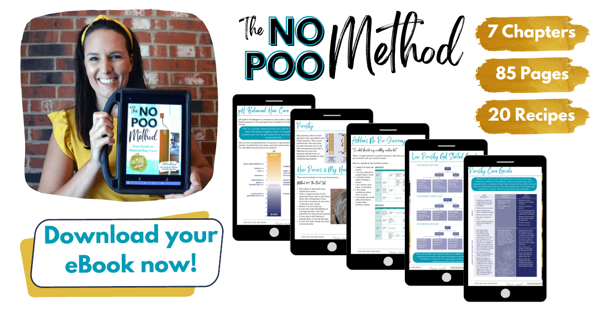 The No Poo Method eBook by Ashlee Mayer of The Crunchy Moose