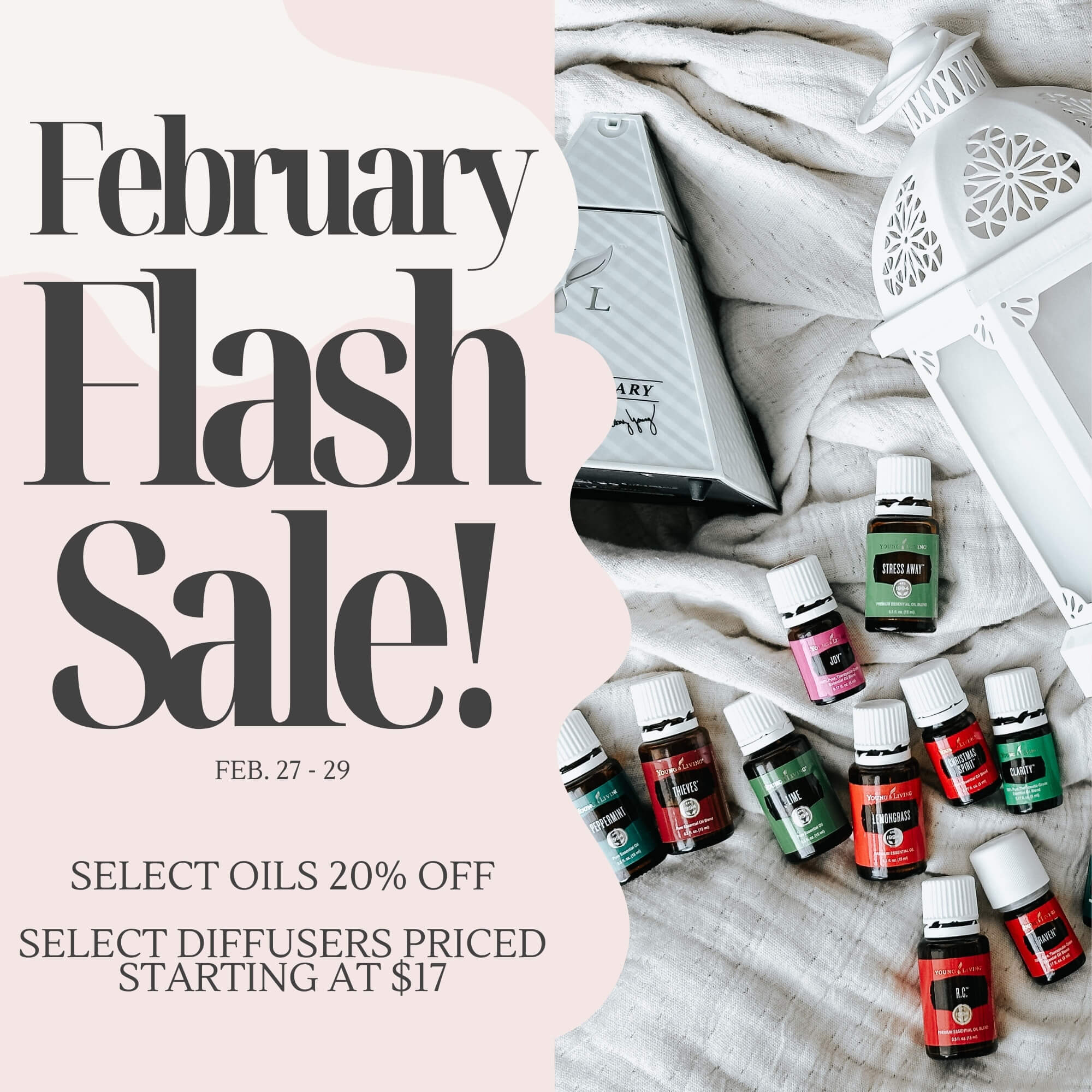 Young Living Essential Oil Sale