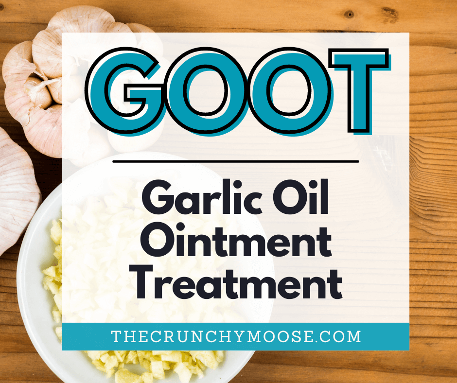 how to make goot garlic oil ointment treatment