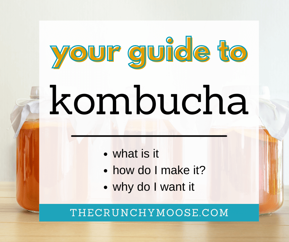 make kombucha for consitpation