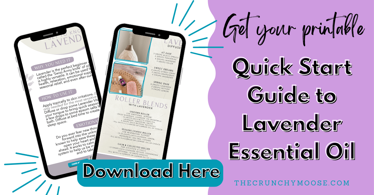 quick start guide to lavender essential oil