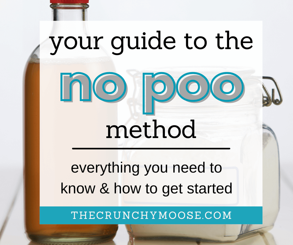 the no poo method natural hair care routine