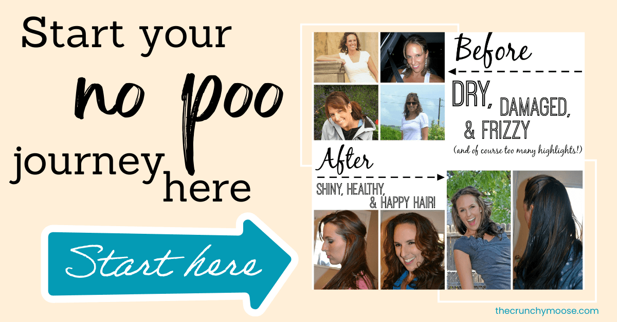  how to do the no poo method natural hair care with pictures