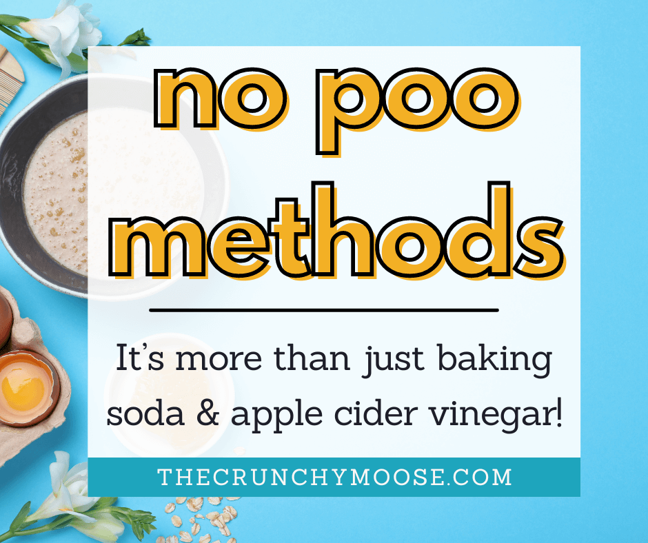  no poo methods other than baking soda and apple cider vinegar