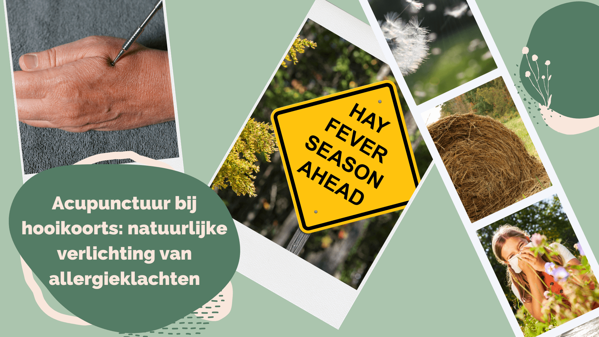 Acupunctuur bij hooikoorts