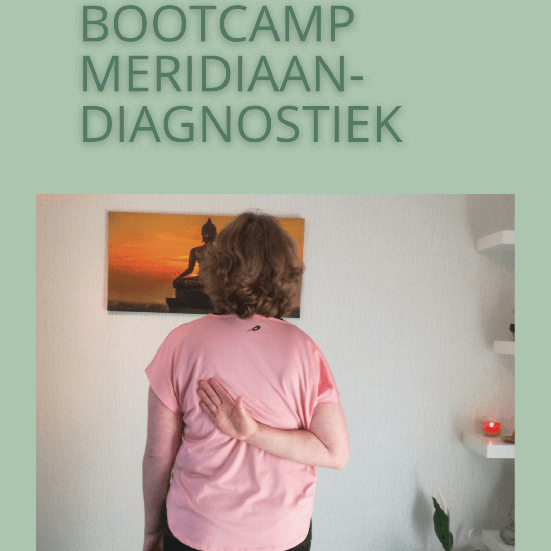 Acupressuurpunt Lever 3