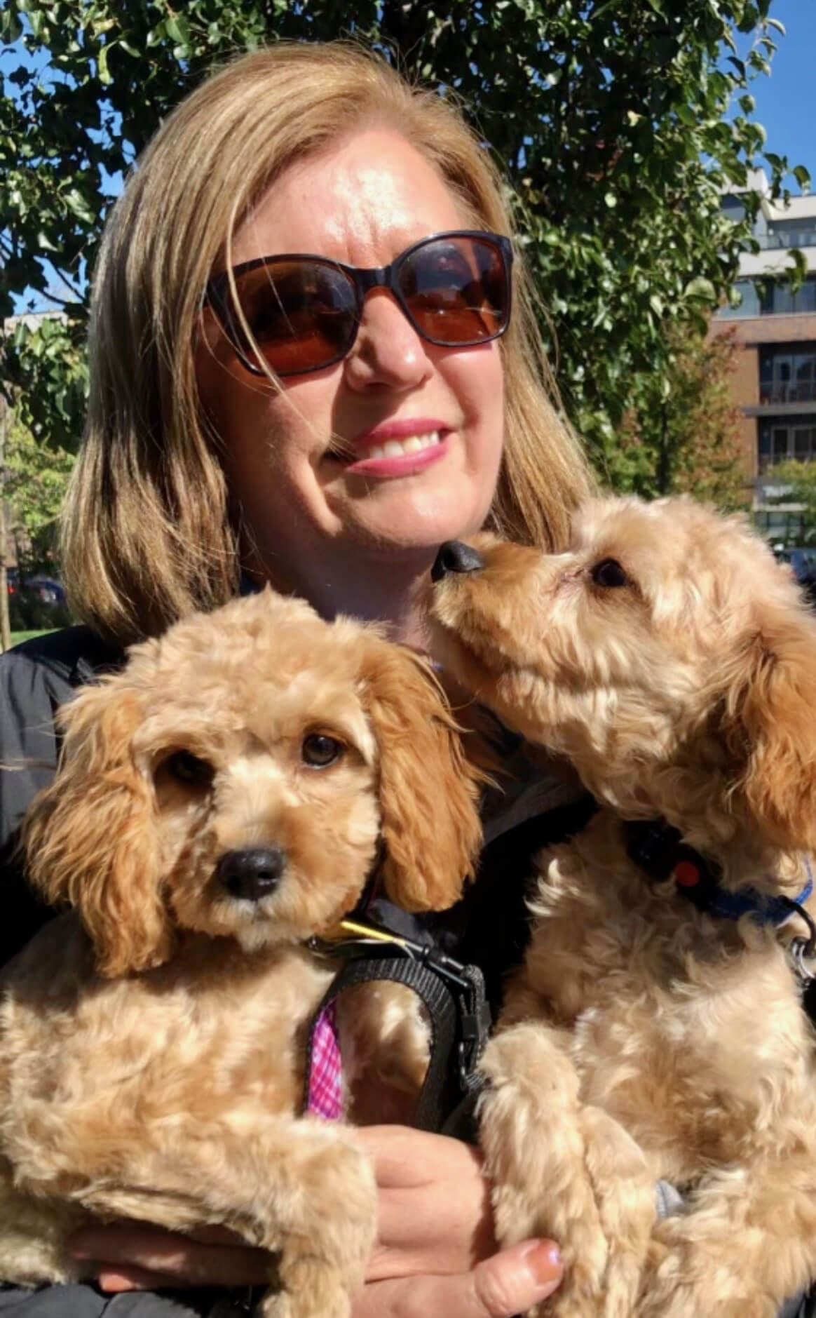 Monica standing outside holding her 2 goldendoodle puppies