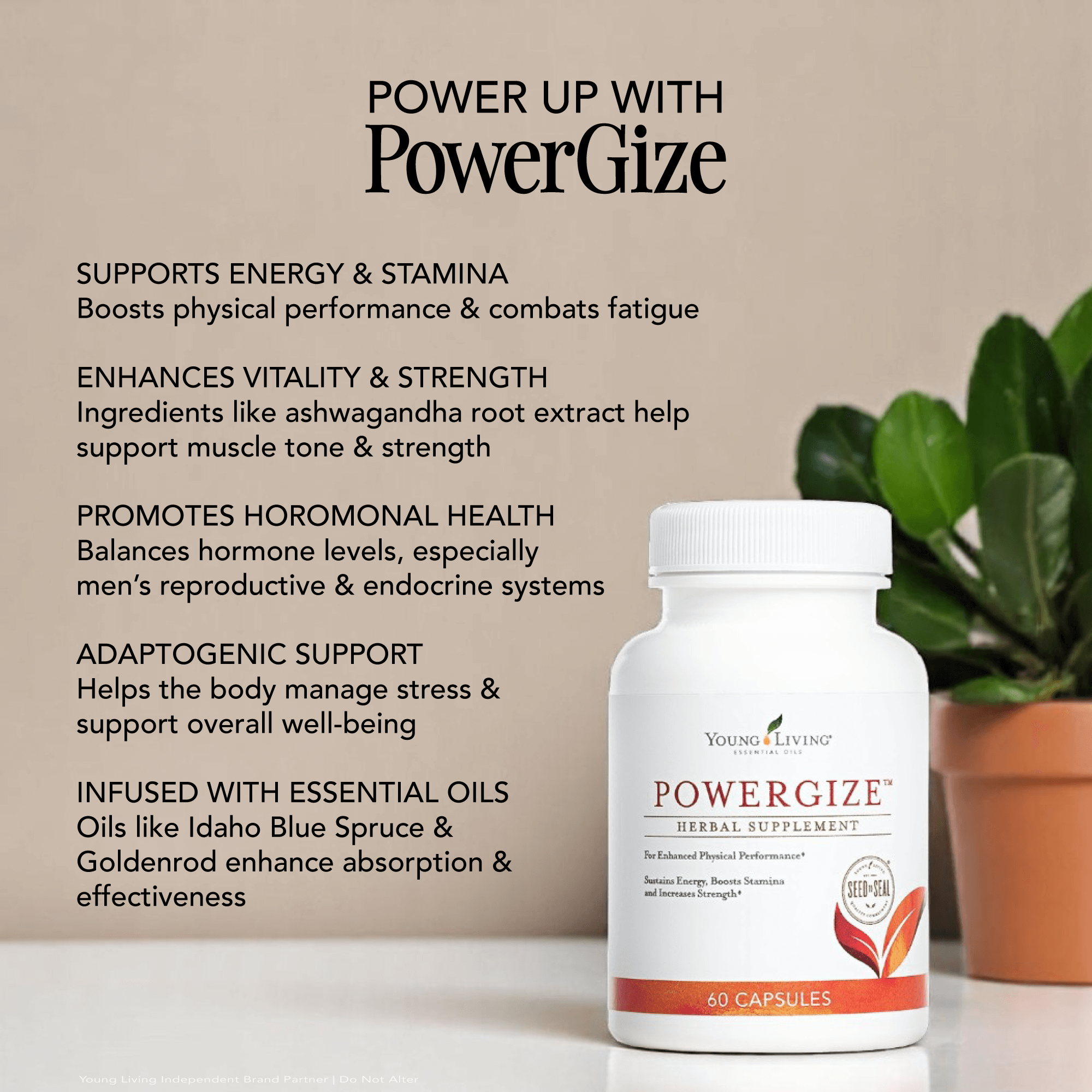 PowerGize Supplemet