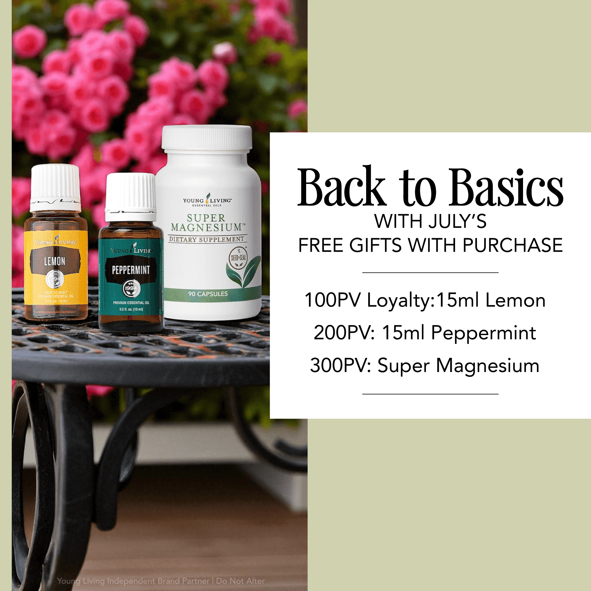 June Gifts with Purchase