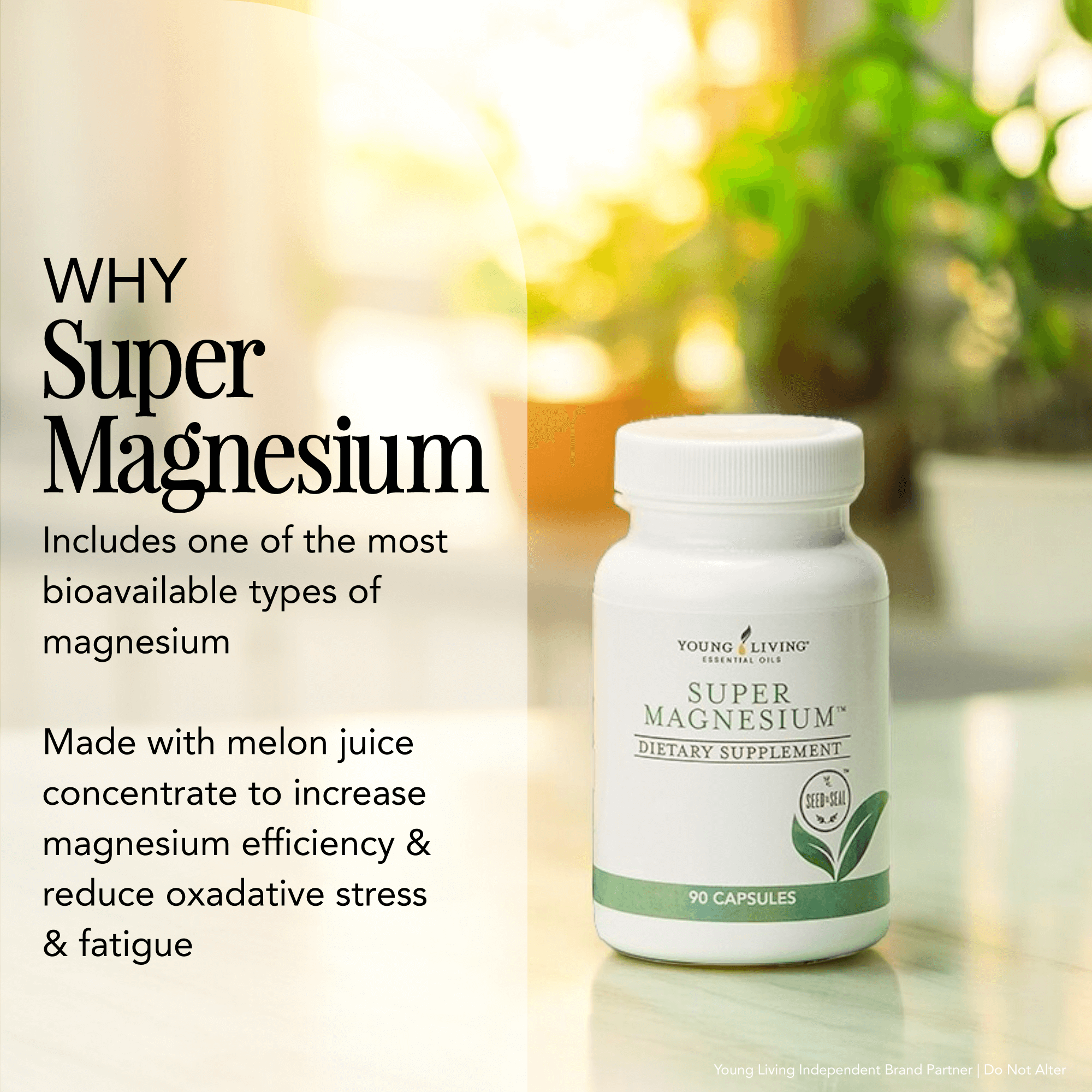 PowerGize Supplemet