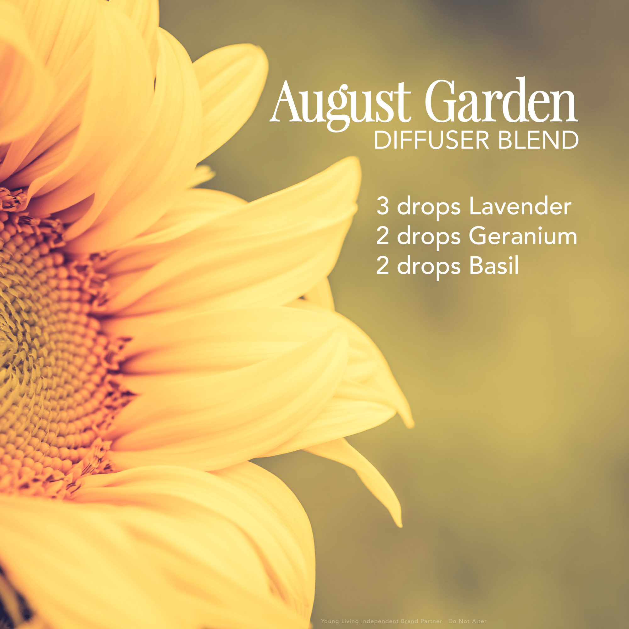  Masculine Diffuser Blends