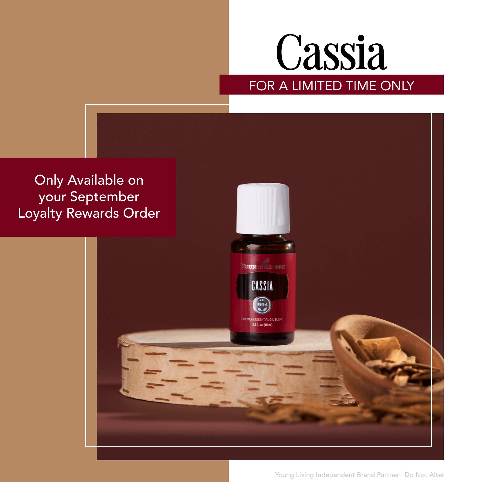15% off loyalty special