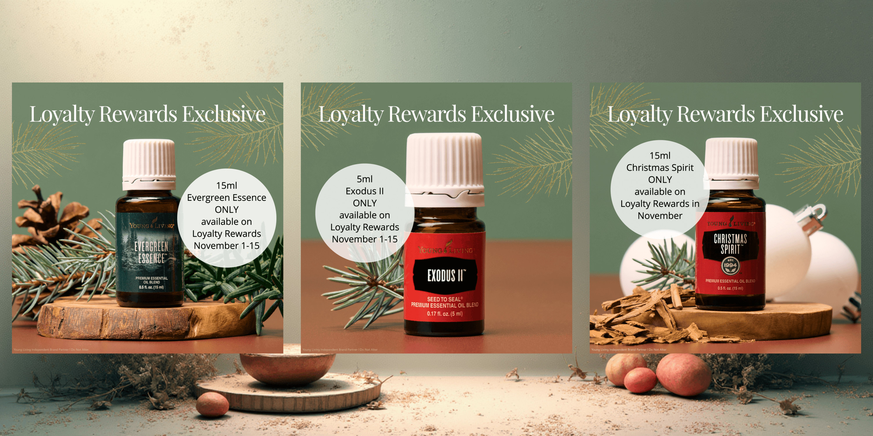  15% off loyalty special