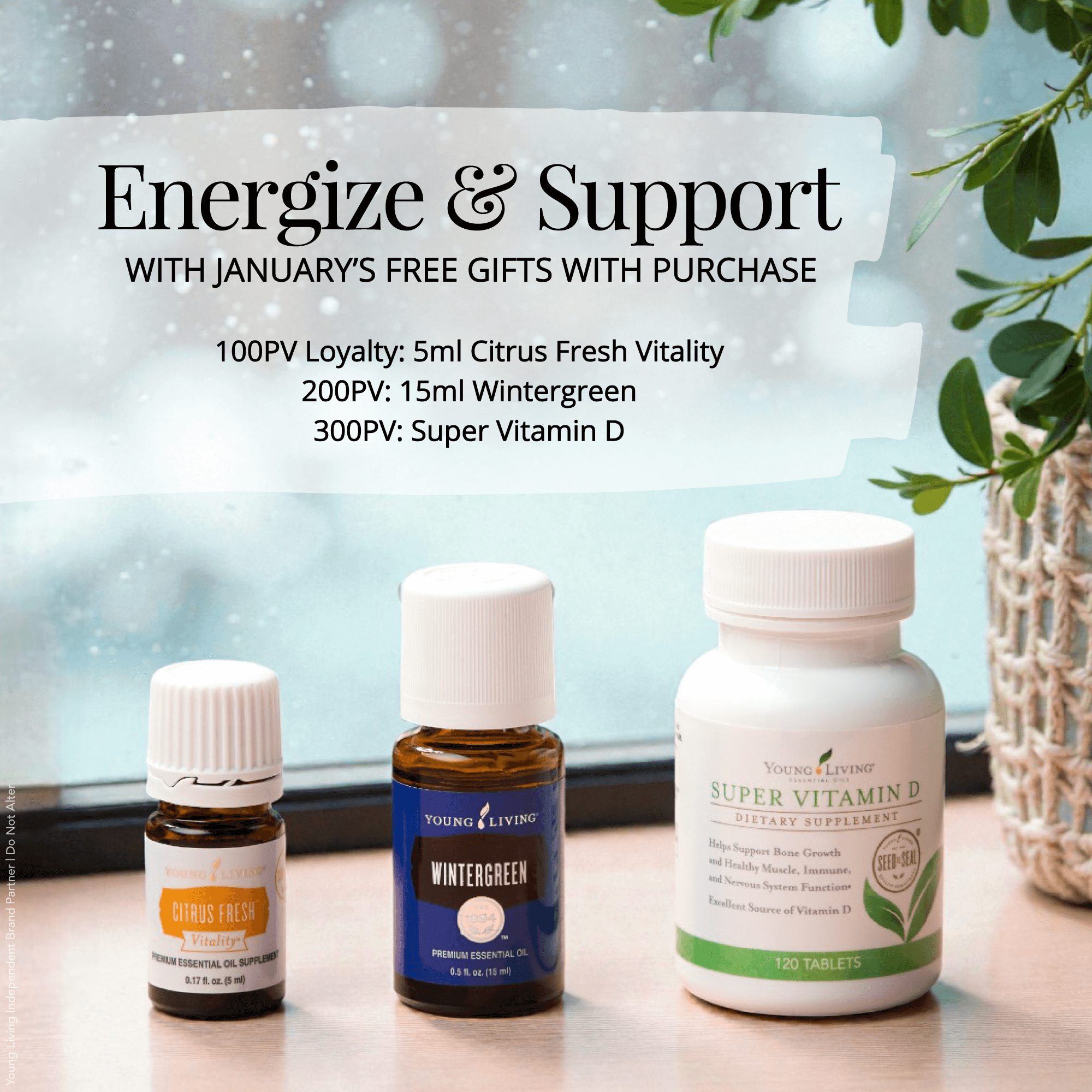 June Gifts with Purchase